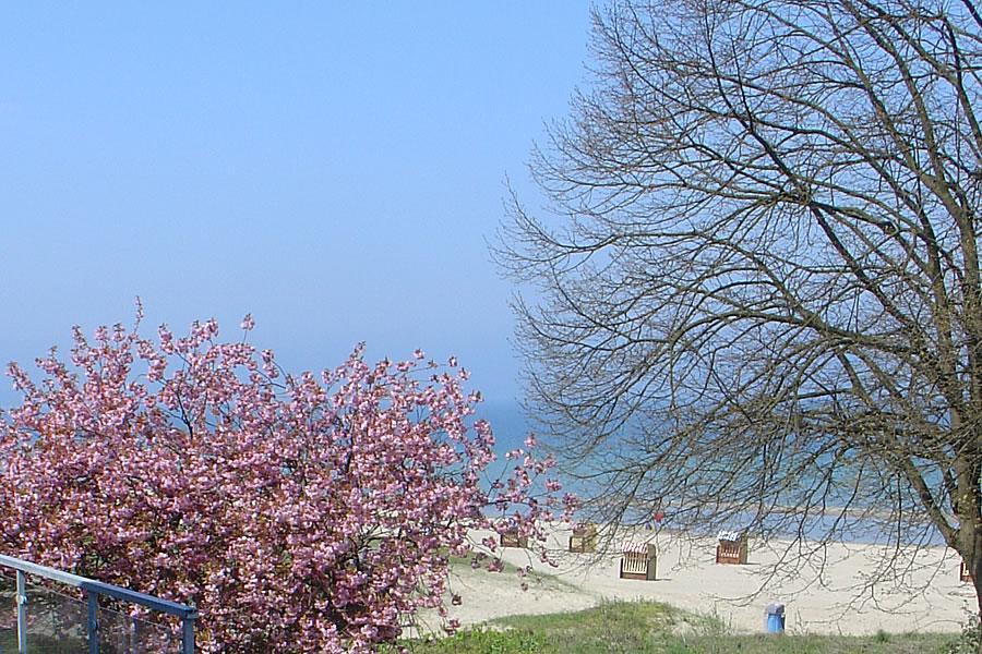 Villa Hansa am Meer Timmendorfer Strand Exteriör bild